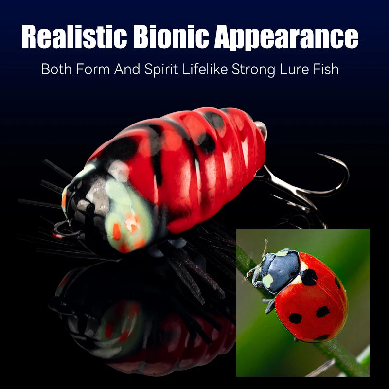 Leurre Insecte Flottant Topwater